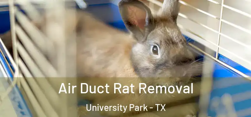 Air Duct Rat Removal University Park - TX