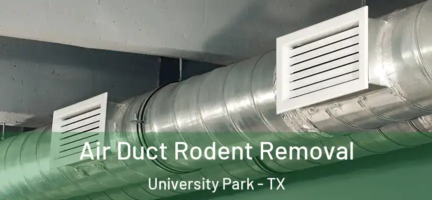 Air Duct Rodent Removal University Park - TX
