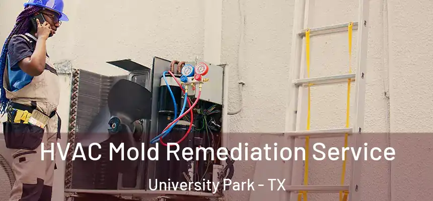 HVAC Mold Remediation Service University Park - TX