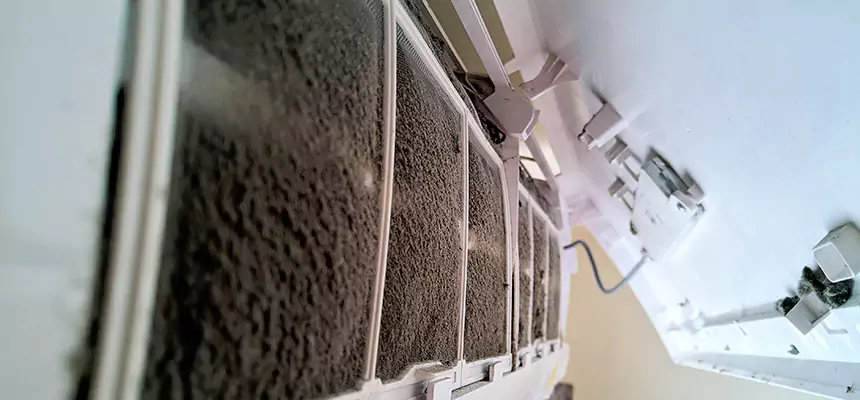 Preventive Air Duct Bacteria Removal in University Park