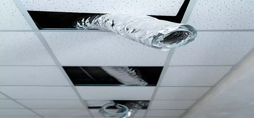 Our Air Duct Pet Hair Removal Services in University Park, TX