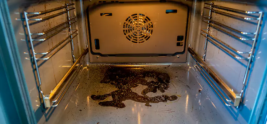 Our Dryer Vent Mold Cleaning Services in University Park, TX