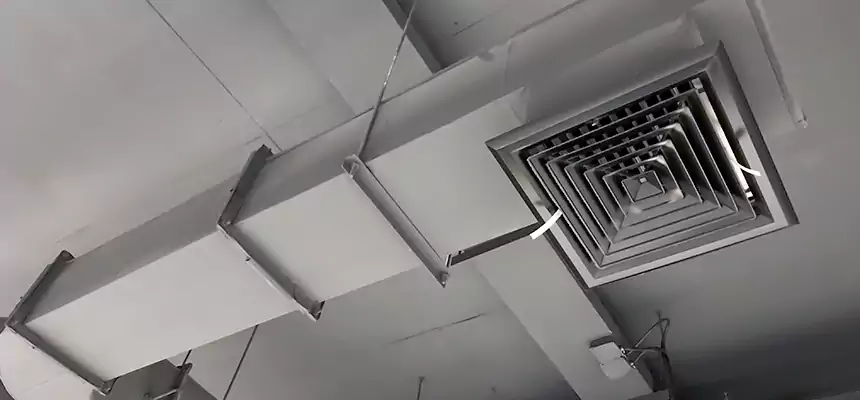 Our Pest Removal From Ducts Services in University Park, TX