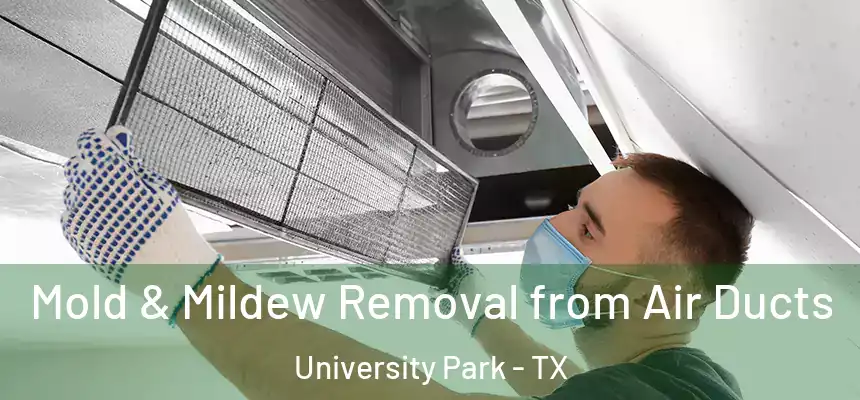  Mold & Mildew Removal from Air Ducts University Park - TX
