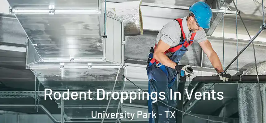 Rodent Droppings In Vents University Park - TX