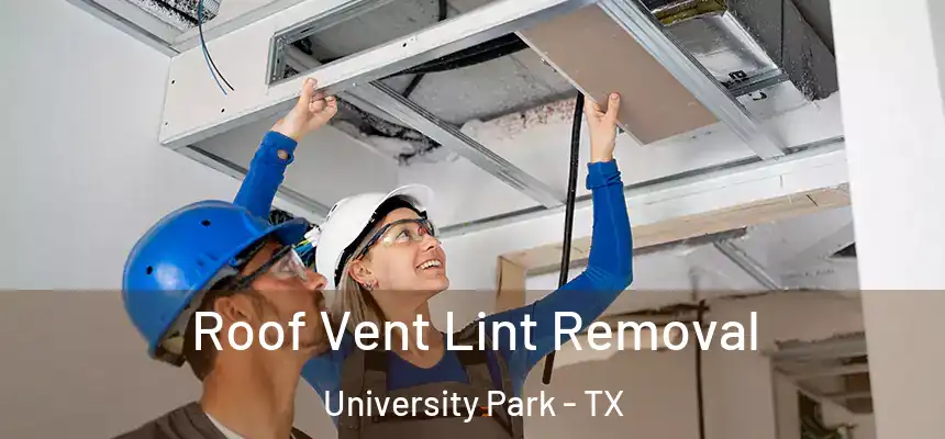 Roof Vent Lint Removal University Park - TX