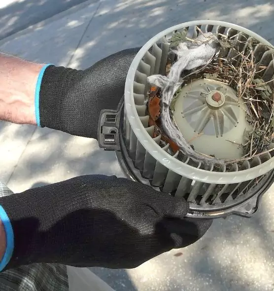 About Air Duct Mice Removal in University Park, TX