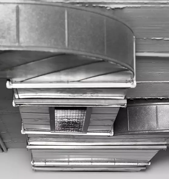 Professional Air Duct Pet Hair Removal in University Park, TX