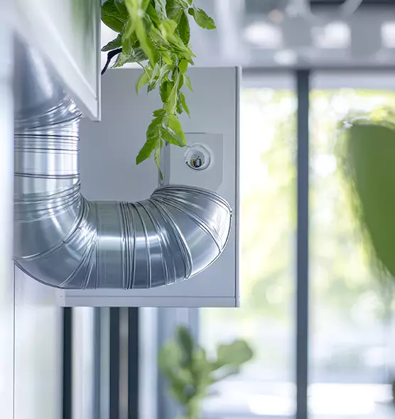 Professional Eco-Safe Dryer Vent Cleaning in University Park, TX