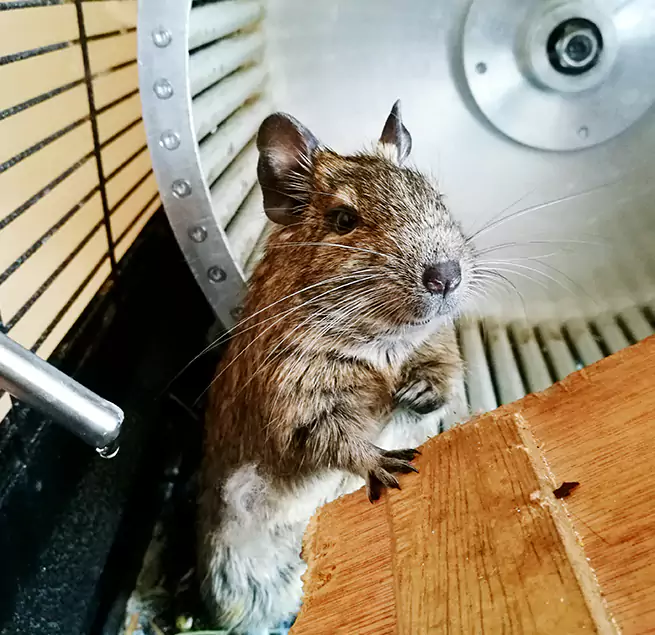 Why Homeowners & Businesses Trust Us University Park, TX