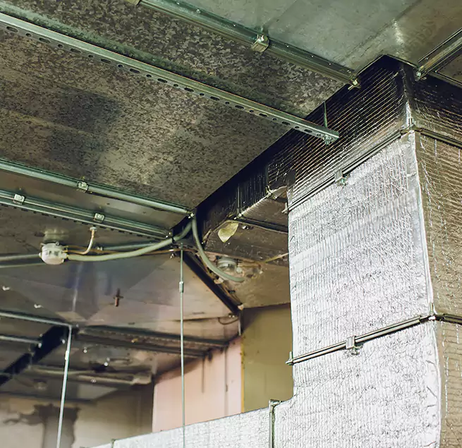 Why Homeowners & Businesses Trust Us in University Park, TX?